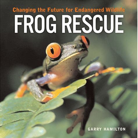 Frog Rescue: Changing the Future for Endangered Wildlife (Firefly Animal Rescue) Reader